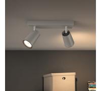 Philips Paisley Spot de plafond 2 sources lumineuses, 8718696164655,