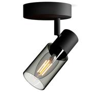 Philips Palms Projecteur, E14, 1 source lumineuse, 8720169299276,