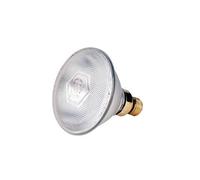 Philips PAR38 Lampe infrarouge Philips claire 175W 240 V