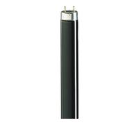 Philips Philips Lighting Lampe fluorescente 18W lumière noire TL-D 18W/108 Quantité:1