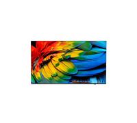 Philips Professional Display 65HFL6214U/12 - Écran LED 65" 4K Ultra HD (3840x2160) 400 cd/m², Android TV 9 (Pie), Wi-Fi 5, DVB-T2/C/T, HDMI 2.0