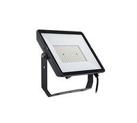 Philips – Projecteur LED d'extérieur ProjectLine 8719514954472 – 150 W, blanc chaud