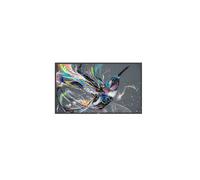 Philips Q-Line 55BDL3511Q/00 : Écran Signalétique 55" IPS 4K UHD 400cd/m² 9ms HDMI 2.0, LAN, USB, VESA 400x400, Haut-parleurs 20W, usage horizontal/vertical