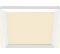 Philips SceneSwitch 8720169347892 Panneau à LED 12 W blanc chaud blanc