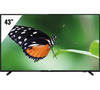 Télévision Philips EasySuite 43HFL3014 - 12 109,2 cm (43"") Full HD Noir