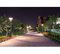 Philips TrueForce LED-lamp - 63816000