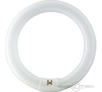 PHILIPS Tube fluorescent circulaire 32 W Ø30 cm triphosphore 840 K lumière jour