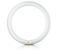 Philips Tube Fluorescent Circulaire TL-E 32W/865 G10Q Lumière Du Jour Froid