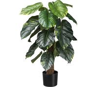 Philodendron Scandens Plante artificielle 90 cm avec tige de coco dans pot plastique 15x13 cm
