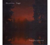 Phineas Gage - Reconsidered