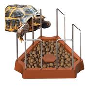 PhnkjGh Mangeoire pour Tortues | Bol Alimentaire pour Tortues Plat de Nourriture Reptiles | Récipient Triangulaire pour Nourrir Geckos Grenouilles Accessoires pour Serpents Dragon Barbu Terrarium