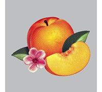Phoenix - Bankrupt!