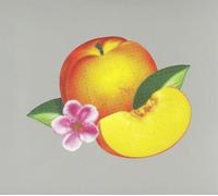 Phoenix - Bankrupt! - Edition Deluxe