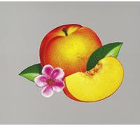 Phoenix - Bankrupt [Import]