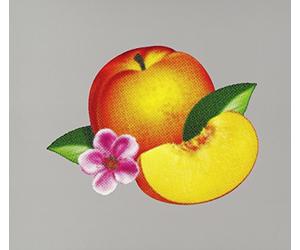 Phoenix - Bankrupt [Import]