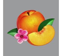 PHOENIX - BANKRUPT (LIMITED DELUXE EDITION) 2 CD ALTERNATIVE ROCK / POP NEUF