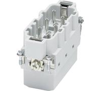 Phoenix Contact 1031082 Insert à contacts Nombre total de pôles: 6 1 pc(s)