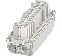 Phoenix Contact 1407735 Insert femelle HC-B 24 + PE borne à enficher 1 pc(s)