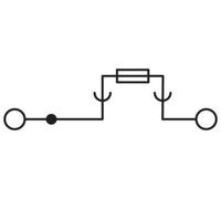 Phoenix Contact 3073953 Bloc de jonction-fusibles de traversée 12 mm raccord à vis noir 50 pc(s)