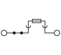 Phoenix Contact 3074169 Bloc de jonction-fusibles de traversée 6.2 mm raccord à vis gris 50 pc(s)