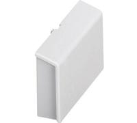 Phoenix Contact - Obturateur De Boîtier Pour Rail Bc 53,6 Bs U11 Kmgy 2896225 Polycarbonate Gris Clair 53.6 1 Pc(s) D75380