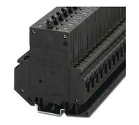 Disjoncteur de protection thermique Phoenix Contact TMC 1 M1 100 2,0A 0914455 250 V/AC 2 A 6 pc(s)