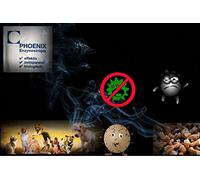 Phoenix Enzymreiniger d'élimination des odeurs de nicotine - 1 x 20 g - Pour 1 à 1,5 l - Nettoyant enzymatique (3, 20 g)
