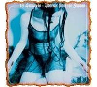 18 Summers – Phoenix from The Flames – Import