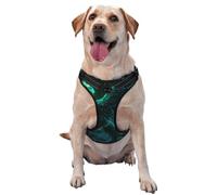 Phoenix Harnais réglable réfléchissant pour chien Vert et bleu sarcelle Taille M et L