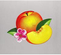 Phoenix - Bankrupt [Import]