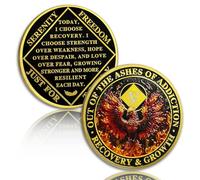 Phoenix Pièce de sobriété de 5 ans Flamme de sobriété de cinq ans Puce NA et médaillon Narcotiques Puce anonyme Puce AA Jeton de récupération d'anniversaire Cadeau de sobriété pour homme femme