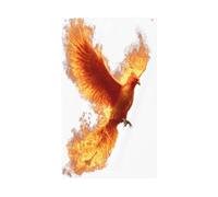 Phoenix Rising From Flames Banderole de vœux avec œillets pour décoration d'intérieur ou d'extérieur 91 x 152 cm