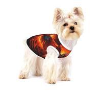 Phoenix Rising Vêtements pour chiens et chats - Chemise en coton doux pour chien, chat, pyjama pour chiot - Pour petits chiens comme les teckels et les chihuahuas - Parfait pour les animaux de