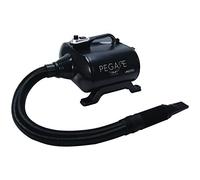 Phoenix Séchoir Maestro pour Chien 3000 W