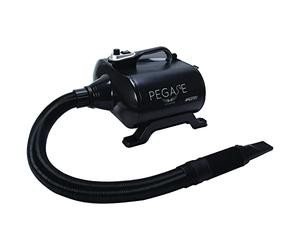 Phoenix Séchoir Maestro pour Chien 3000 W