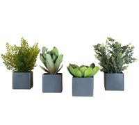 Phoenix Succulentes Square Pots 4-er set Gris (pots carrés) Plante artificielle Tanaman - TANAMAN A PP3 CE4