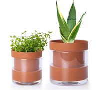 Phoenix Vine 52-A-G-46 Pot de fleurs en terre cuite avec réservoir en verre pour plantes d'intérieur, herbes, fleurs, 10,2 cm, 15,2 cm