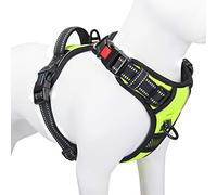 PHOEPET Harnais Anti-Traction réfléchissant et réglable, avec poignée, 2 Anneaux en métal et 3 Boucles, Facile à Mettre et à enlever, pour Petit Chien, Taille S, Vert