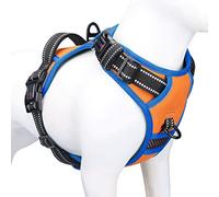 PHOEPET Harnais Anti-Traction réfléchissant et réglable avec poignée, 2 Anneaux métalliques et 3 Boucles, Facile à Mettre et à enlever, pour Chien de Grande Taille (L, Orange)