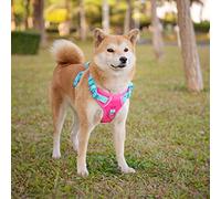 PHOEPET Harnais anti-traction réglable anti-fugue avec poignée de contrôle facile pour promener et dresser les chiens de petite, moyenne et grande taille (base rose et sangles vertes, taille M)