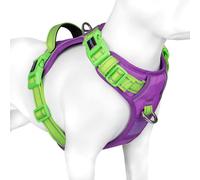 PHOEPET Harnais pour chien No Pull - Gilet réfléchissant pour chien - Avec poignée d'entraînement douce - Pour chiens de petite, moyenne et grande taille - Base violette et bretelles vertes - Taille S