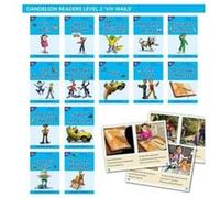 Phonic Books Dandelion Readers Vowel Spellings Level 2 by Phonic Books Phonic Books (Auteur)