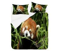 phonxia Housse de Couette 160x200 Panda Roux Marron Housse de Couette 160x200 2 Personnes avec Fermeture Éclair Sets de Housse Couette Respirant Microfibre + 2 Taie Oreiller 65x65