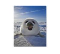 Phoque Blanc Animal, Puzzle 1000 pièces pour Adultes, Puzzle Classique Difficile pour Enfants et Adolescents, Jeu éducatif, Cadeau pour la Maison et Les Voyages, 38 x 52 cm