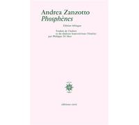 Phosphènes - Andrea Zanzotto - Corti - broché - Roman