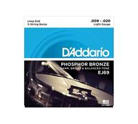 D'Addario Cordes Banjo Banjo Phosphor Bronze EJ69, 9-20