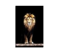 Photo d'animaux - Lion dans l'obscurité., 90 x 60 cm
