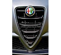 Photo de 30,5 x 45,7 cm Impression photographique d'une Alfa Romeo Grille avant et badge Portrait Photo Image fine art de couleur d'impression. Photographie par Andy Evans photos