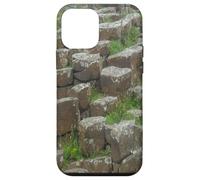Photo de colonnes de pierre de basalte de la côte d'Irlande du Nord Coque pour iPhone 12 mini