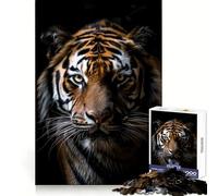 Photo en Gros Plan d'un Tigre Puzzle de 1000 pièces pour Adolescents Jeu de réflexion et de Loisirs Design élégant Cadeau raffiné 50x75cm